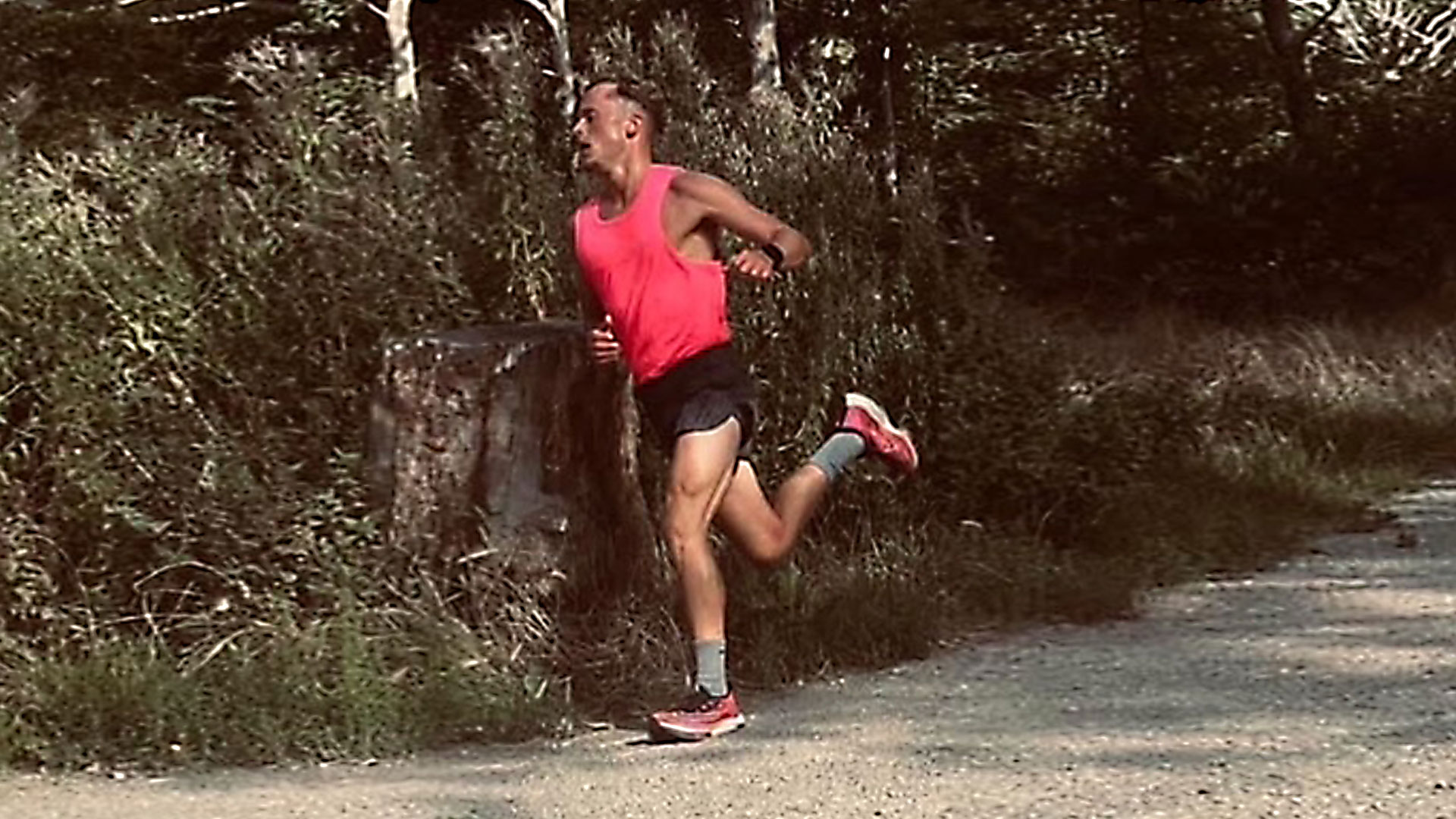 Marathon training and performance – cutting the wheat from the chaff